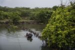 PASSAGE DE FRONTIERE ILLEGALEMENT ENTRE HAITI ET LA REPUBLIQUE DOMINICAINE. thumbnail